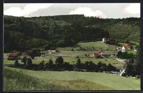 AK Erbersbronn /Schwarzwald, Naturfreundehaus mit Umgebung aus der Vogelschau