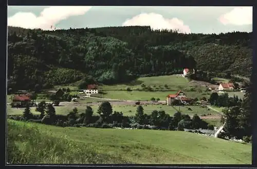 AK Erbersbronn /Hundsbachtal, Ortsansicht mit Naturfreundehaus