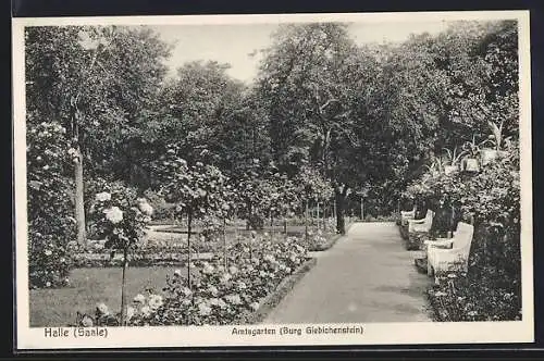 AK Halle a. S., Amtsgarten (Burg Giebichenstein)