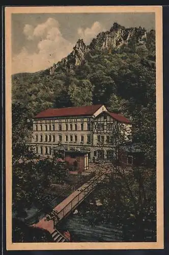 AK Thale a. Harz, Bodetal, Hotel Waldkater mit Katerbrücke