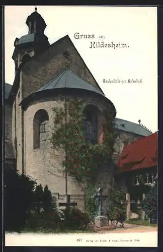 AK Hildesheim, Tausendjähriger Rosenstock
