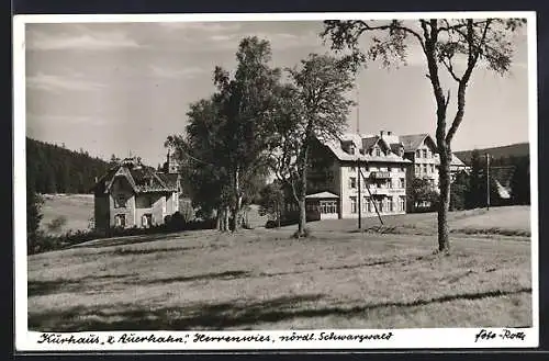 AK Herrenwies /Schwarzwald, Kurhaus zum Auerhahn