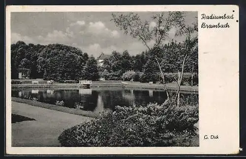 AK Brambach / Radiumbad, Kurhof mit Park