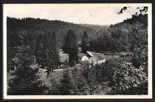 AK Florenville, Burnéchamps par Florenville, Panorama