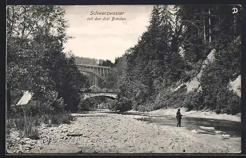 AK Schwarzenburg, Schwarzwasser mit den drei Brücken, Angler