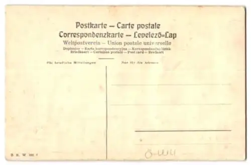 Relief-AK Wien, Blick auf die Karlskirche