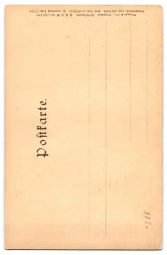 Relief-AK Wien, Partie am Stefansdom