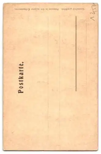 Relief-AK Innsbruck, Das Goldene Dachl