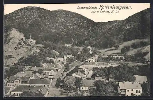 AK Kaltenleutgeben /N.-Oe., Teilansicht mit Strassenpartie