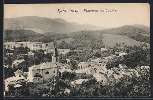 AK Kalksburg, Panorama mit Convict