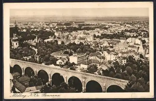 AK Mödling /N.-Oe., Panorama mit Viadukt