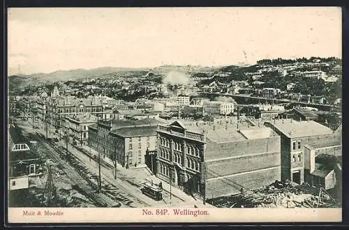 AK Wellington, General View