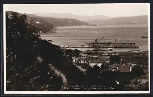 AK Wellington, General view of the harbour from Tinakori Hill