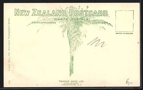 AK Wellington, General View