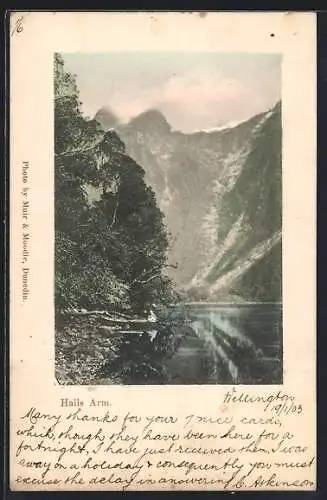 AK Fiordland, Hall`s Arm