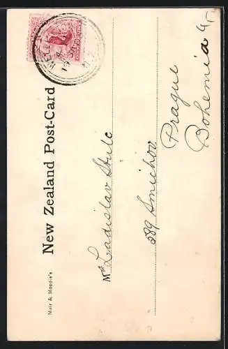 AK Fiordland, Hall`s Arm