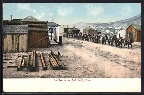 AK Goldfield, NV, Twenty-mule team drawing a large wagon