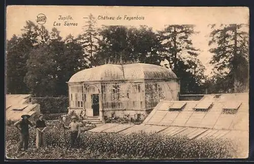 AK Jupille-sur-Meuse, Chateau de Fayenbois, Les Serres