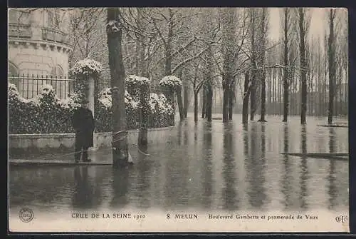 AK Melun, Inondation Janvier 1910, Boulevard Gambetta et Promenade de Vaux