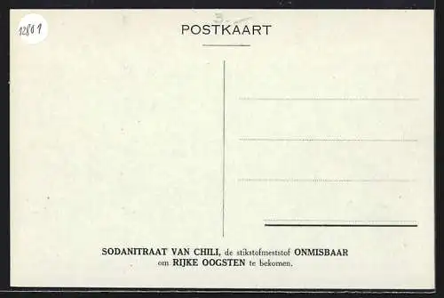 AK Atacama, De Nijverheid van het Sodanitraat van Chili, Salpeter, Algemeen zicht op de Oficina Chile