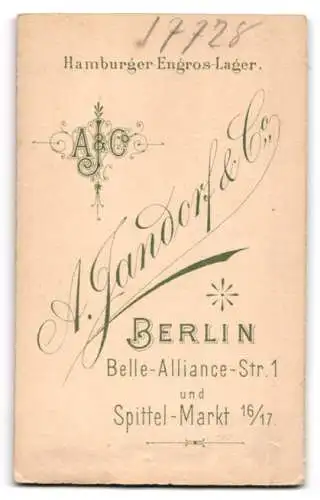 Fotografie A. Jandorf & Co., Berlin, Belle-Alliance-Str. 1, Porträt einer Frau mit elegantem Kleid