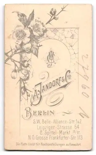 Fotografie A. Jandorf & Co, Berlin, Leipziger Strasse 64, Junge auf einem Stuhl sitzend
