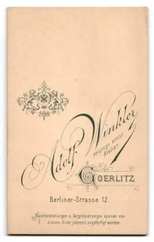 Fotografie Adolf Winkler, Görlitz, Berliner Strasse 12, Portrait einer Dame mit elegantem Kleid