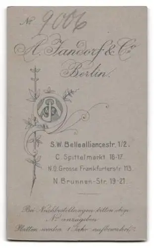 Fotografie A. Jandorf &amp Co., Berlin, Bellealliancestrasse 1 /2, Portrait einer Dame in elegantem Kleid