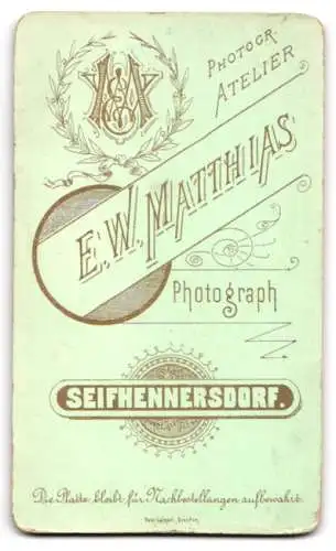 Fotografie E.W. Matthias, Seifhennersdorf, Porträt einer Dame in elegantem Kleid