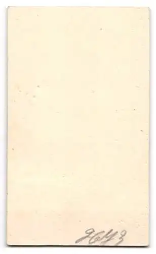 Fotografie A. Wertheim, Berlin, Königsstr., Jugendlicher mit Buch und Hut