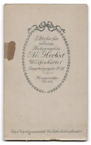 Fotografie Ad. Herbst, Wolfenbüttel, Langenherzogstr. Nr. 38, Porträt einer Dame