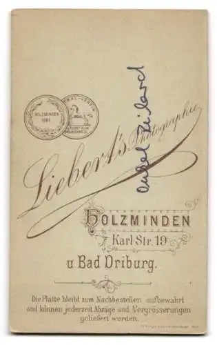 Fotografie Liebert`s Photographie, Holzminden, Karl Str. 19, Porträt eines jungen Mannes