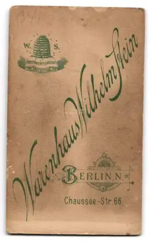 Fotografie Wilhelm Stein, Berlin, Chausseestrasse 66, Porträt einer Frau mit elegantem Kleid