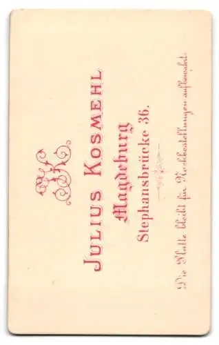Fotografie J. Kosmehl, Magdeburg, Stephansbrücke 36, Porträt eines Mannes mit Bart