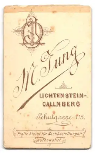 Fotografie M. Jung, Lichtenstein-Callnberg, Schulgasse 175, Porträt einer jungen Frau