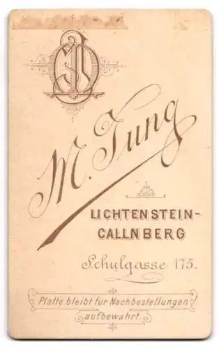 Fotografie M. Jung, Lichtentstein-Callnberg, Schulgasse 175, Porträt eines jungen Mannes