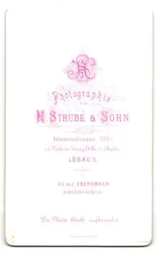 Fotografie H. Strube & Sohn, Löbau, Blumenstrasse 339, Porträt eines Herrn mit Schnurrbart