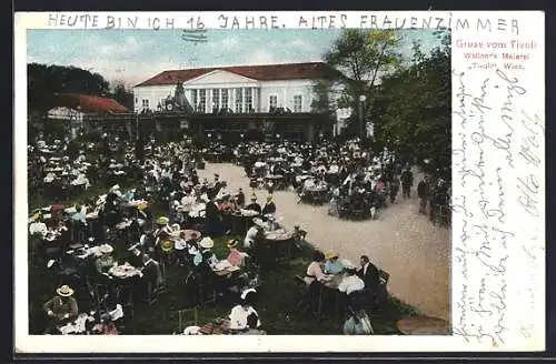 AK Wien, Wallner`s Meierei Tivoli, Gästegarten