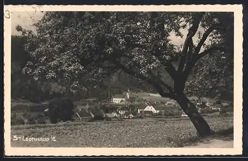 AK St. Leonhard i. L., Ortsansicht vom Feldweg aus