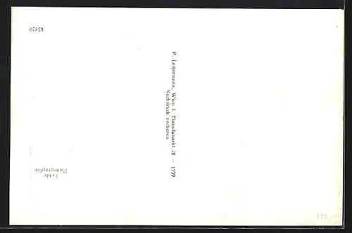 AK Amstetten, Villenviertel