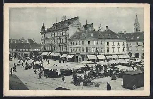 AK Wr. Neustadt, Markt am Hauptplatz