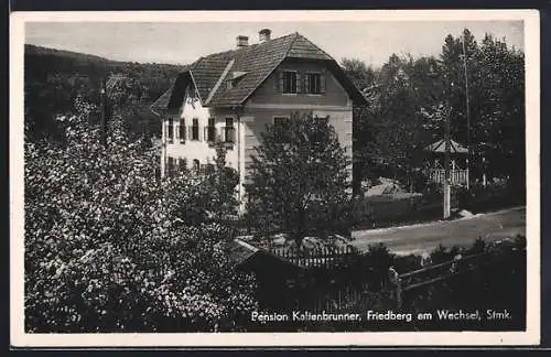 AK Friedberg am Wechsel, Pension Kaltenbrunner