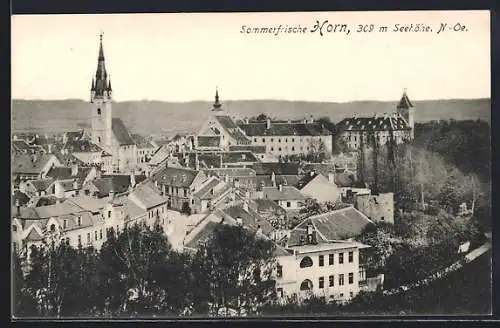 AK Horn /N.-Ö., Totalansicht aus der Vogelschau