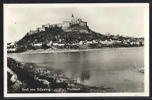 AK Güssing, Totalansicht mit Fischteich