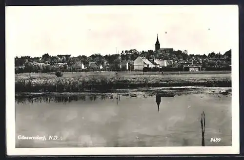 AK Gänserndorf /N. D., Ortspanorama vom Wasser aus