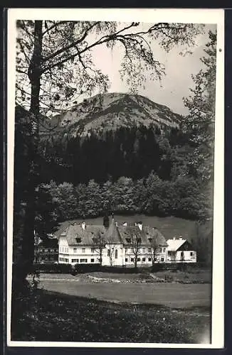 AK Gusswerk /Stmk., Schloss Brandhof