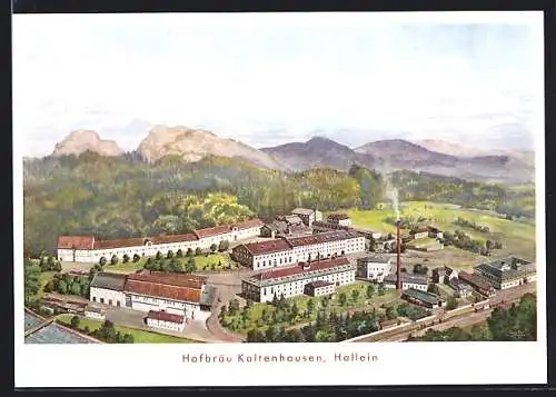 AK Hallein, Gasthaus Hofbräu Kaltenhausen