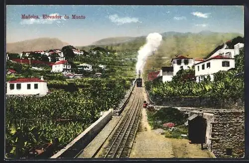 AK Madeira, Elevador do Monte