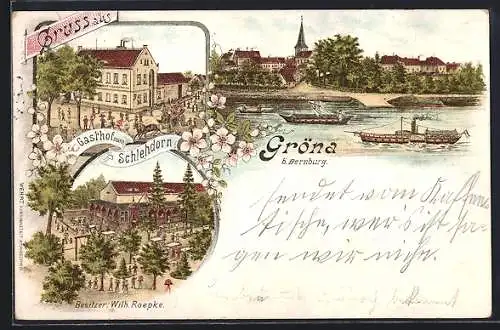 Lithographie Gröna, Gasthof zum Schlehdorn W. Roepke mit Garten aus der Vogelschau, Ortsansicht vom Wasser