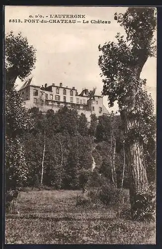 AK Pont-du-Château, Le Château et les arbres environnants